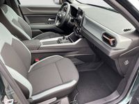 Dacia Bigster - Vorschau Bild 13