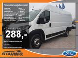Fiat Ducato Kastenwagen 35 180 M L4H2 Kamera DAB - Fiat Ducato: Kastenwagen