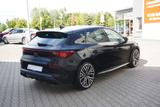 Cupra Leon 2.0 TSI VZ LED Navi ACC Kamera Teilleder - Cupra Leon in Magdeburg