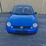 Volkswagen VW Lupo 1,4 16V 75ps mit TÜV - Volkswagen Lupo: 1.7