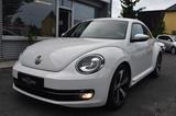 Volkswagen Beetle Lim. Design*Leder*Navi*Bi-Xenon*Alu*Sport - Volkswagen Beetle mit Diesel-Antrieb