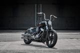 Harley-Davidson FXST Softail Standard 2023 Bobber Ricks