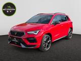 Cupra Ateca 2.0 TSI DSG 4Drive AHK Panoramadach Navi - Cupra Ateca in Essen