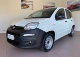 Andere Fiat Panda VAN 1.2 BENZINA 2 POSTI PRONTA CONSEG - Kommunalfahrzeug Benzin