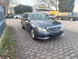 Mercedes-Benz E 250 E T-Modell E 250 BlueTec 4Matic