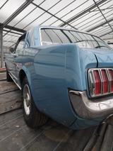 Ford Mustang - Ford Mustang in Krefeld