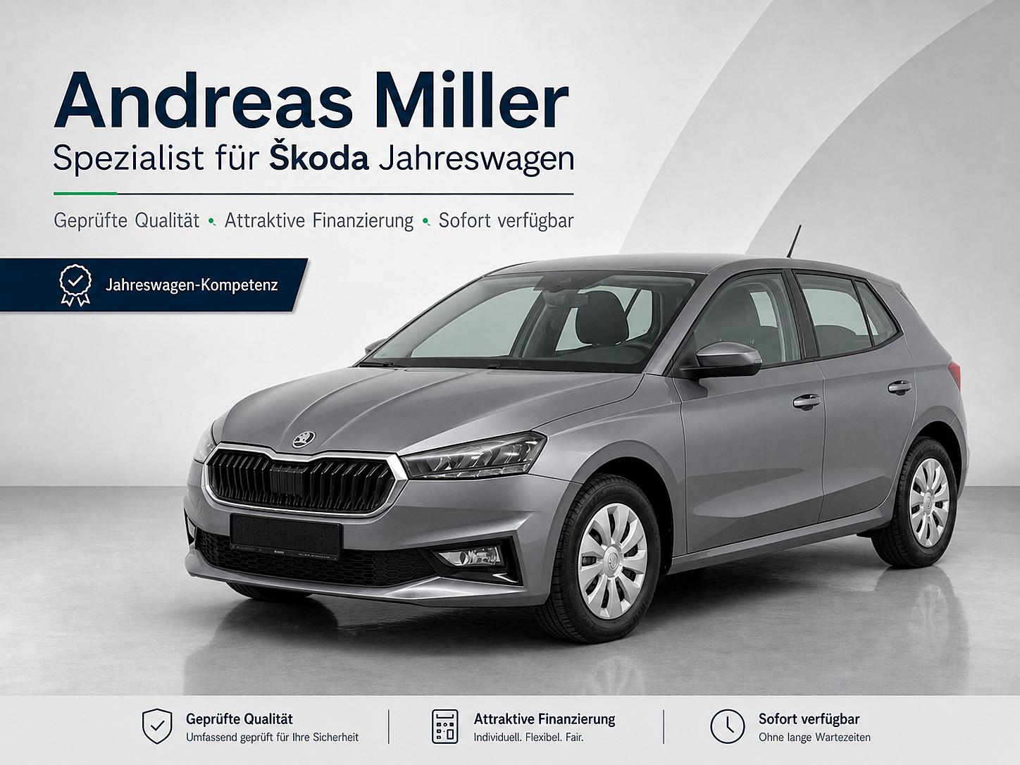 Skoda Fabia 1.0l TSi Selection LED Klima SHZ PDC Temp.