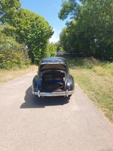 Peugeot 203 C Oldtimer - Peugeot: 203