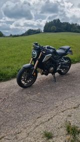 Honda CB650R NEON CAFE RACE nur 5000Km - Offers matching your search criteria