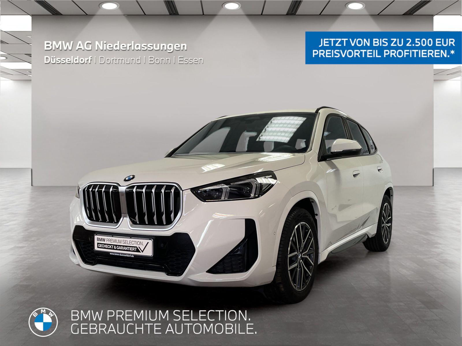 BMW X1 sDrive20d M Sport Driv.Assist Harman K LED