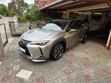 Lexus UX 250h Hybrid Luxury Line | HUD | SSD| - gebrauchte Lexus SUV & Geländewagen