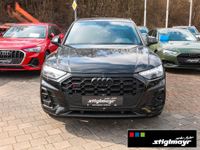 Audi SQ5 - Vorschau Bild 11