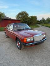 Mercedes-Benz W123 230E Altrot ungeschweiß... - Mercedes-Benz Alt