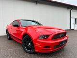 Ford Mustang Coupe 3.7 V6 Aut. *LED*XENON*KLIMA* - Ford Mustang: Coupe, V6
