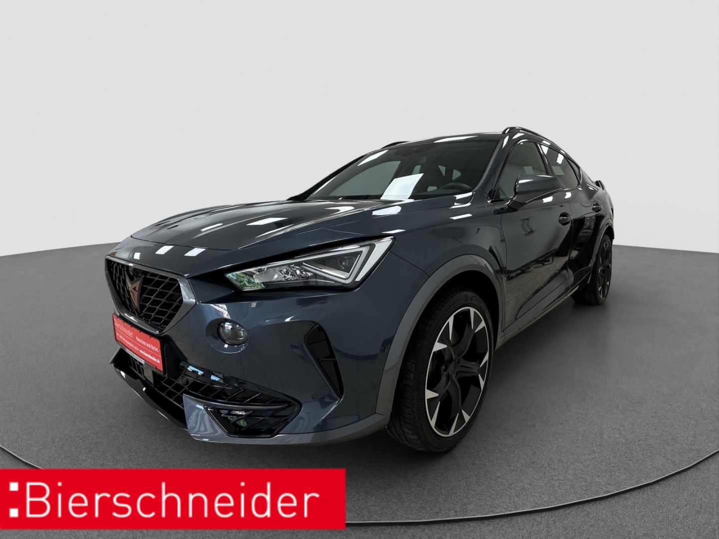 Cupra Formentor 2.0 TSI 4Drive VZ ACC NAVI 360