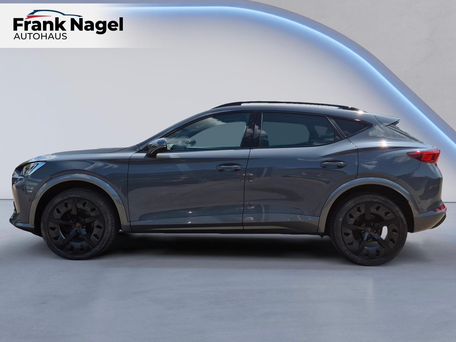 Cupra Formentor 2.0 TDI 7-Gang-DSG 4Drive