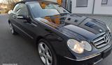 Mercedes-Benz CLK 500 CLK Cabrio CLK 500 - Mercedes-Benz CLK-Class aus 2005