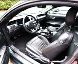 Ford Mustang 5.0 Ti-VCT V8 Bullitt Bullitt - Ford Mustang mit Benzin-Antrieb: Coupé, Bullit