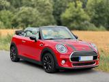 MINI TOP! MINI Cooper Cabrio - VOLL, CHILI, HuD, H/K - MINI Cooper Cabrio mit Panoramadach