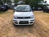 Fiat Panda - Fiat Panda Gebrauchtwagen in Düsseldorf