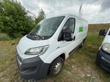 Fiat Ducato Kasten 30 115 L1H1 RS: 3000 mm - Fiat Ducato: 11