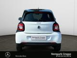 Smart forfour passion AUTOMATIK COOL&AUDIO*Bluetooth* - Smart ForFour in Krefeld