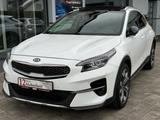 Kia XCeed 1.6 Platinum Edition*Pano*Automatik*4xSHZ - Kia XCeed Gebrauchtwagen