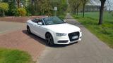 Audi A5 Cabrio - Audi A5 aus 2012 mit Benzin-Antrieb: Cabrio