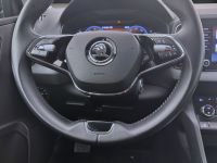 Skoda Karoq - Vorschau Bild 13