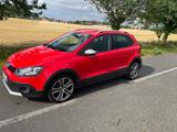 Volkswagen Polo Cross 1.2 TSI 66kW - 90 PS Comfortline  - Volkswagen Polo: Tsi Ps