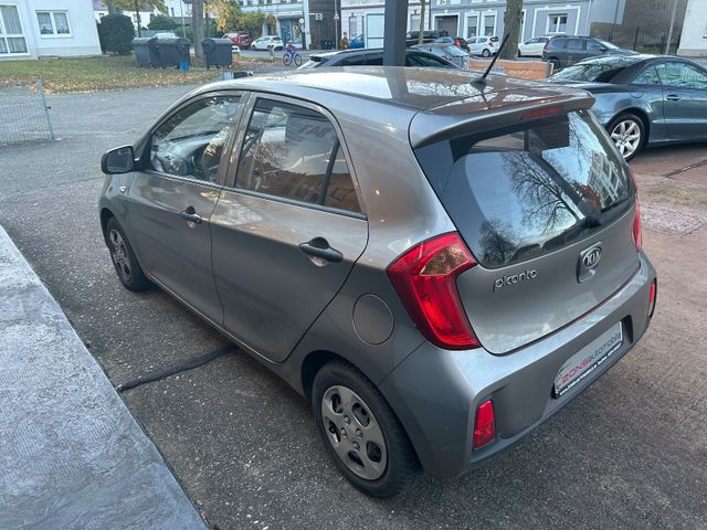 Fahrzeugabbildung Kia Picanto +NaviZB+Servo+Klima+AllwetterRäder+