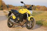 Honda CB600FA Hornet Yellow Pearl - Offers matching your search criteria