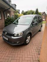 Volkswagen VW Caddy Maxi 1,6 TDI Roncalli 7-Sitzer - Volkswagen Caddy Maxi: Roncalli