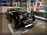 Austin Healey Andere - aus 1960: Cabrio