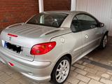 Peugeot 206 CC Roland Garros 110 Roland Garros - Peugeot 206: Leder