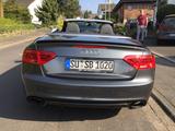 Audi RS5 Cabriolet - Audi Cabriolet mit Benzin-Antrieb: Cabrio