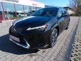 Lexus UX 250h Luxury Line *Matrix*360*HUD*Levi - Lexus UX: Luxury Line