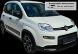Fiat Panda 1.0 CityLife*Klima*Bluetooth*Sportlenkrad - Fiat Panda aus 2021