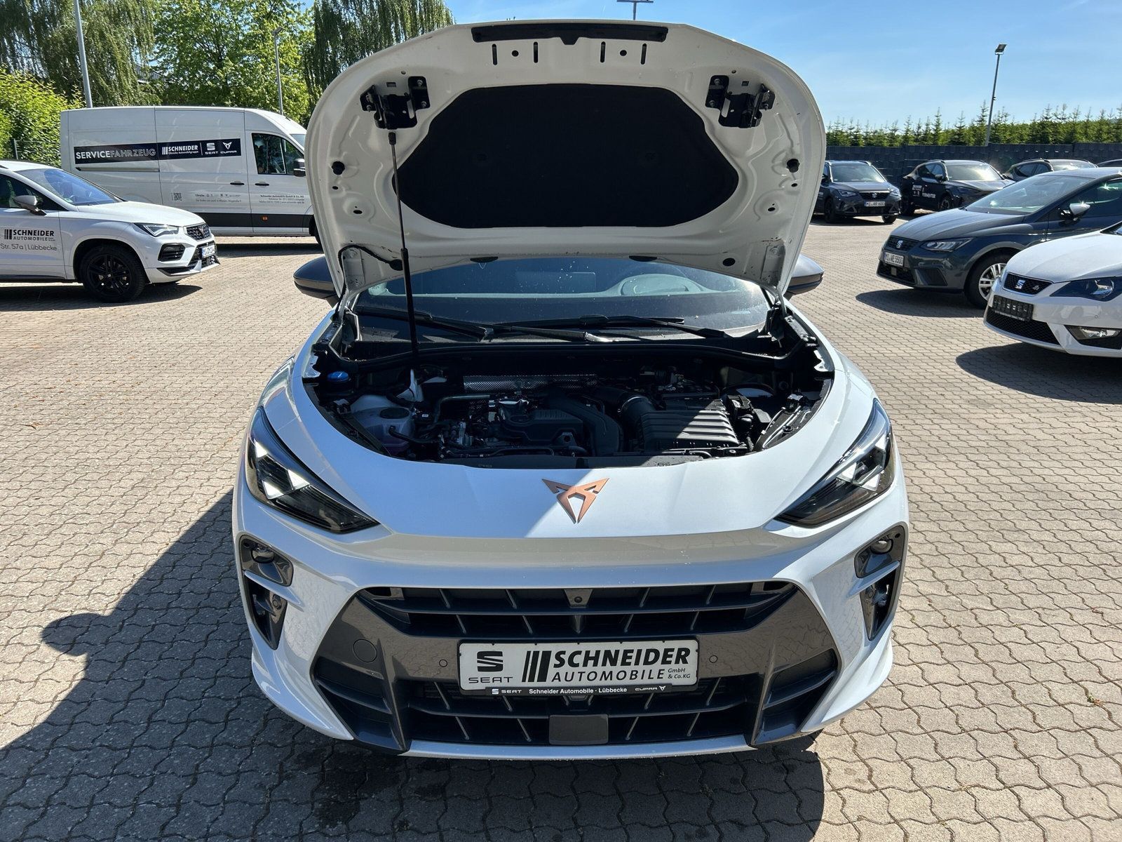 Cupra Terramar - Bild 17