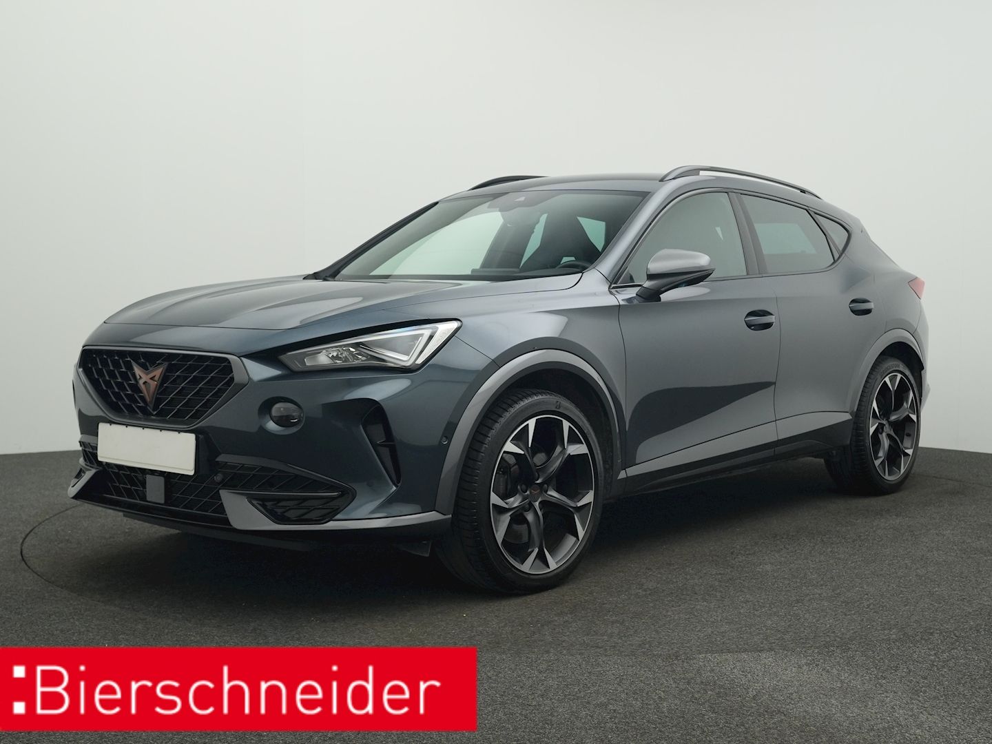 Cupra Formentor 2.0 TSI DSG 4Dr. VZ AHK KAMERA NAVI LE