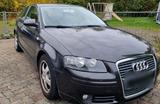Audi A3 8P  Winter&Sommer Auto  S-Line Optik - Audi A3 aus 2005: Line