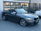 BMW M240 i sDrive Cabrio Aut*LED*R-Kamera*8x-Bereift - BMW: Cabrio, 8