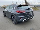 Kia XCeed 1.5T DCT Vision Navi Kamera ACC Lenkradhzg - Kia XCeed Jahreswagen