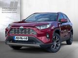 Toyota RAV 4 2.5 4x2 Hybrid Teamplayer (XA5) - Toyota RAV 4 XA5