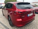 Mazda CX-60 3.3 D 254ps 8AT AWD Homura COSO - Mazda: Rot