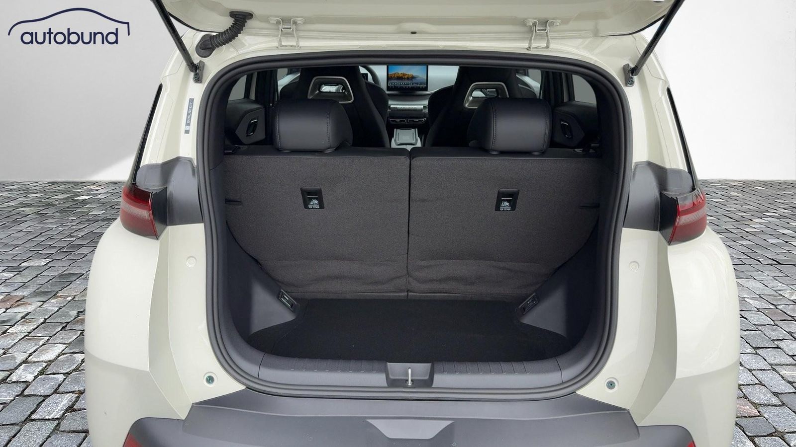 BYD DOLPHIN SURF