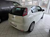 Fiat Punto 1.2 8V YOUNG Klima Zahnriemen neu - gebrauchte Fiat Punto aus dem Jahr 2015
