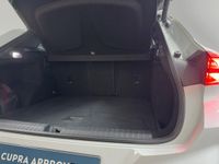 Cupra Terramar - Vorschau Bild 6