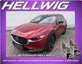Mazda CX-30 2.5l (140PS) Homura Kamera Navi 2025 NEU - Mazda CX-30 Neuwagen