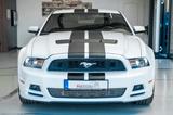 Ford Mustang 3,7 Premium Leder LPG GAS BRC - mit LPG-Antrieb: Allradantrieb